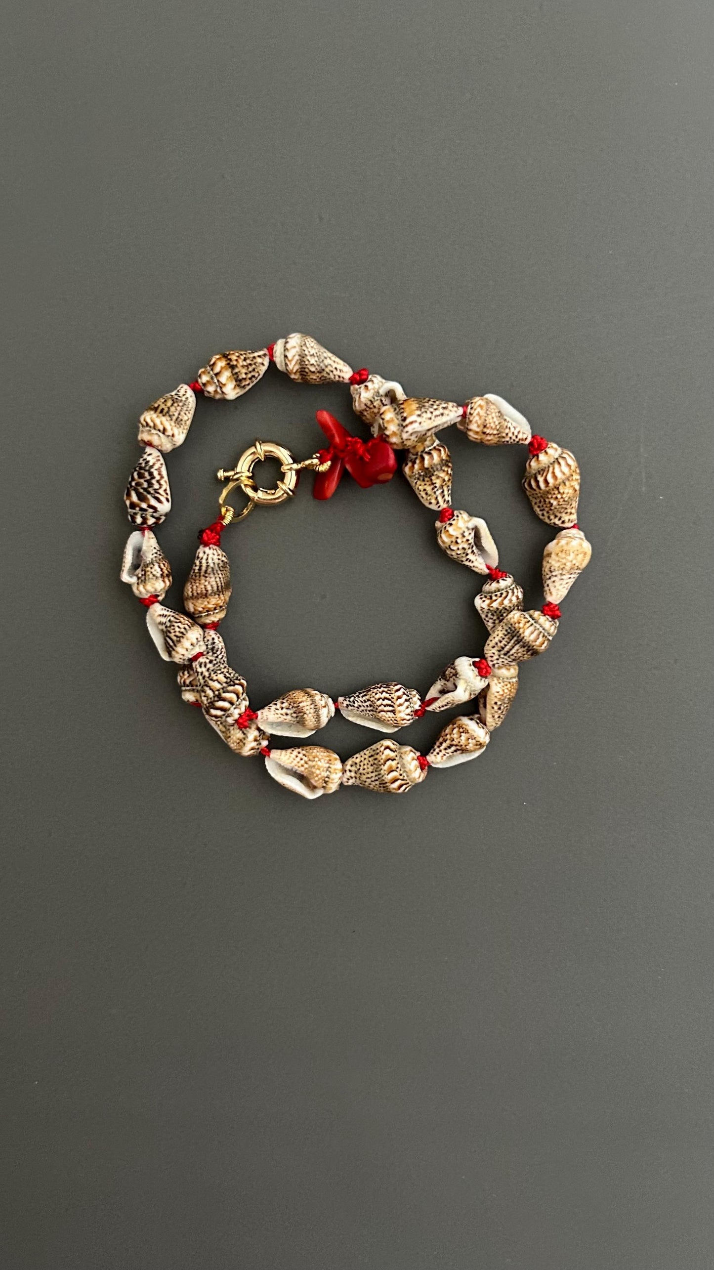 Boho Shell Choker Necklace, 18k Gold Plated | Beach Layering Jewelry | Summer Festival Trend | Adjustable  Gift for Her, Australia