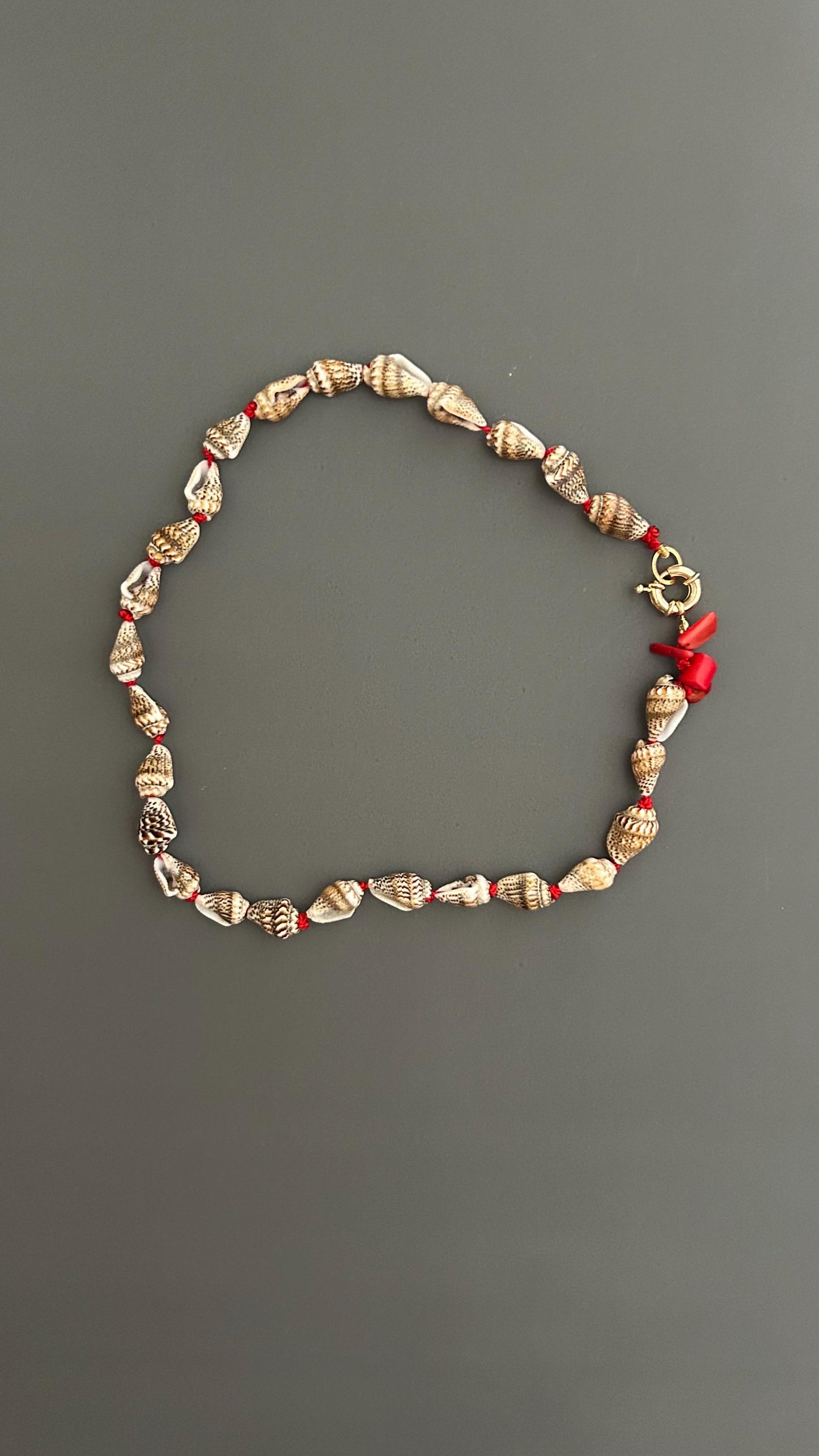 Boho Shell Choker Necklace, 18k Gold Plated | Beach Layering Jewelry | Summer Festival Trend | Adjustable  Gift for Her, Australia